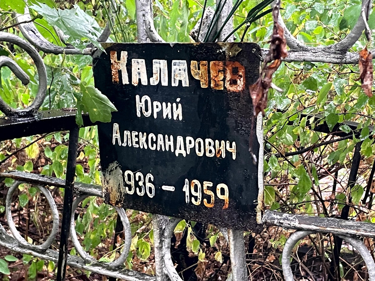 Калачев