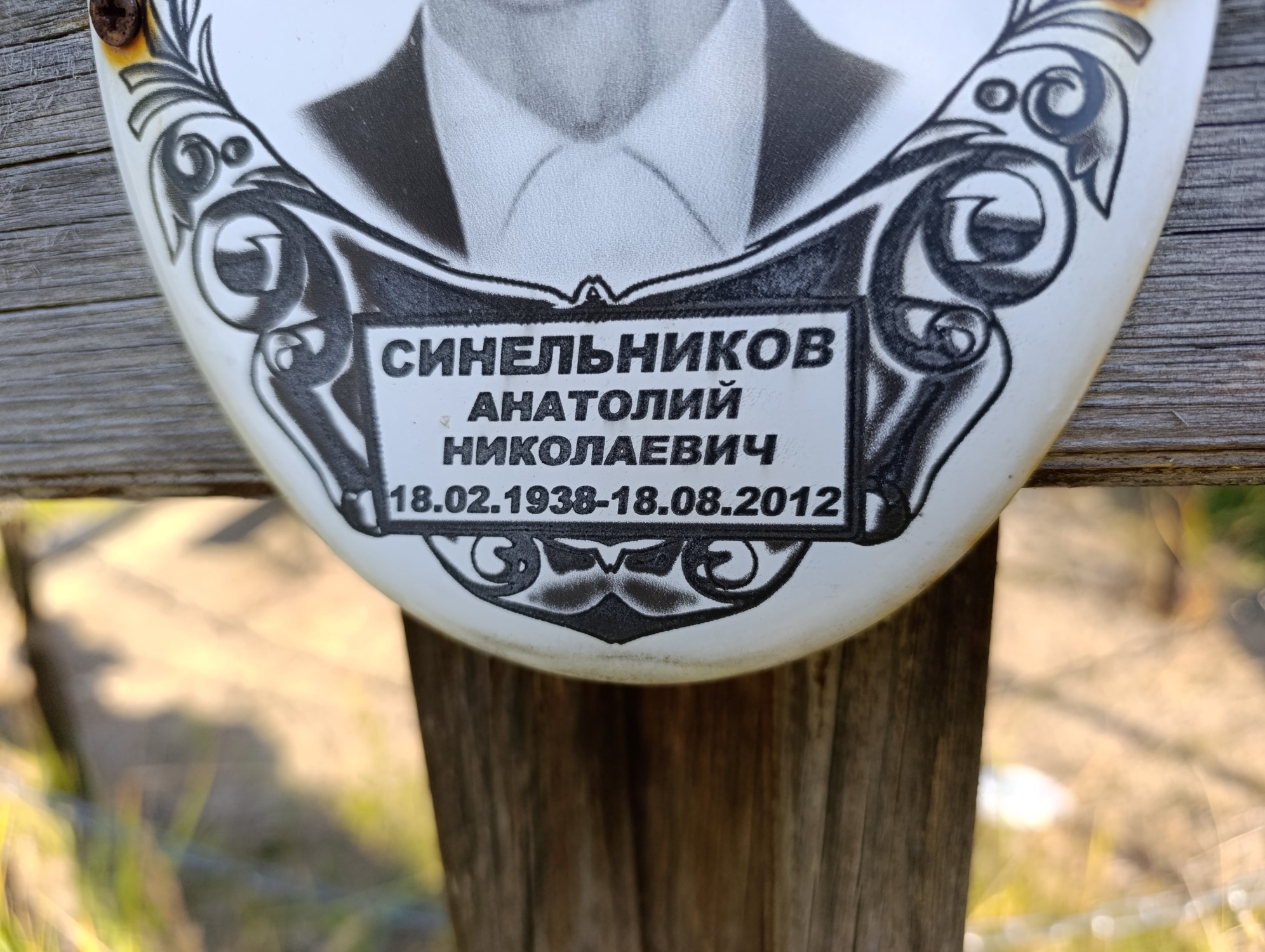 Синельников Анатолий Николаевич
