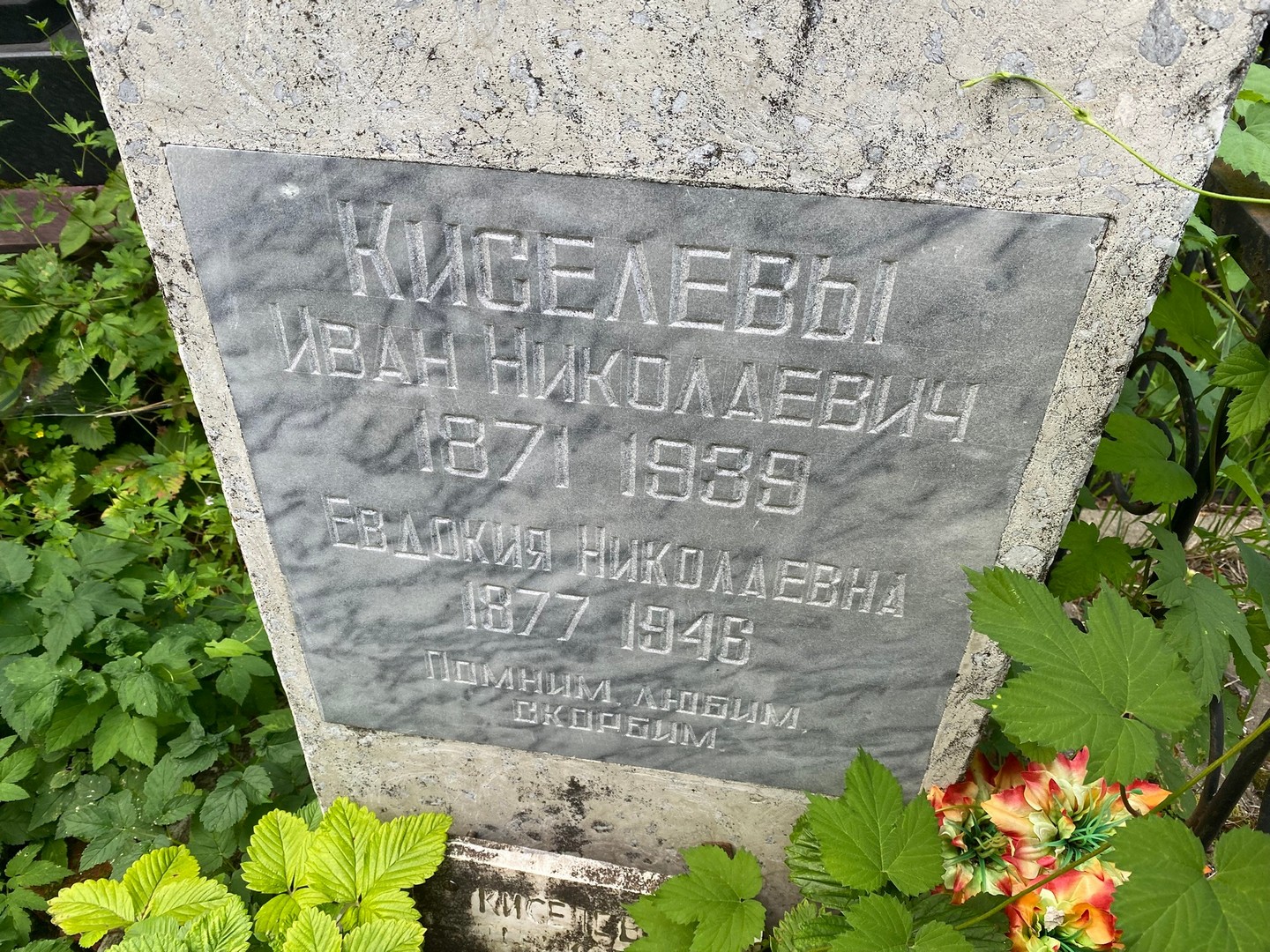 Киселев