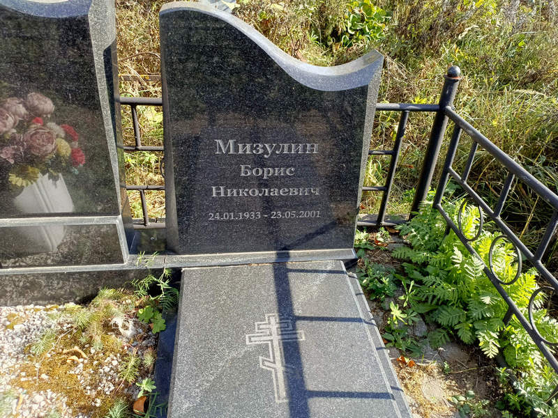 Мизулин