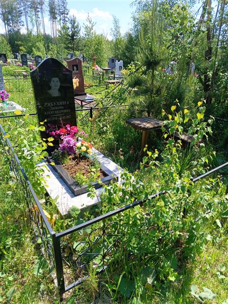 Рябухина Любовь Александровна