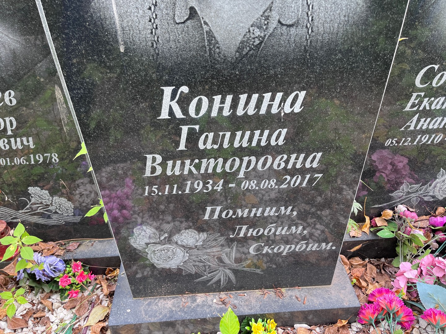 Конина