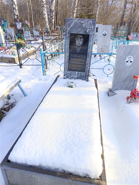 Токарев Александр Иванович