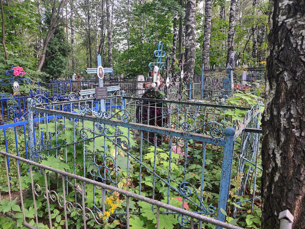 Князева Александра Андреевна