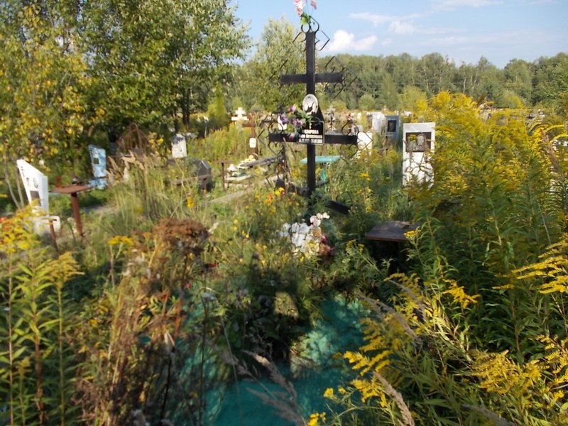 Назарова Нина Алексеевна