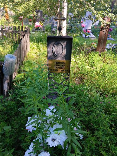 Говорухин Александр Андреевич