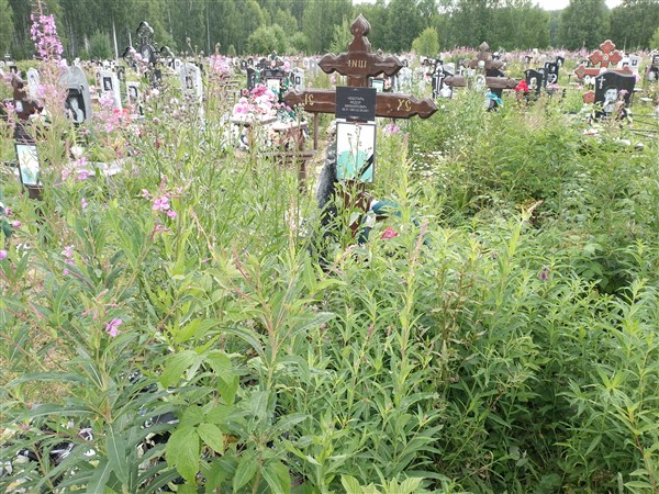 Чеботарь Федор Михаилович