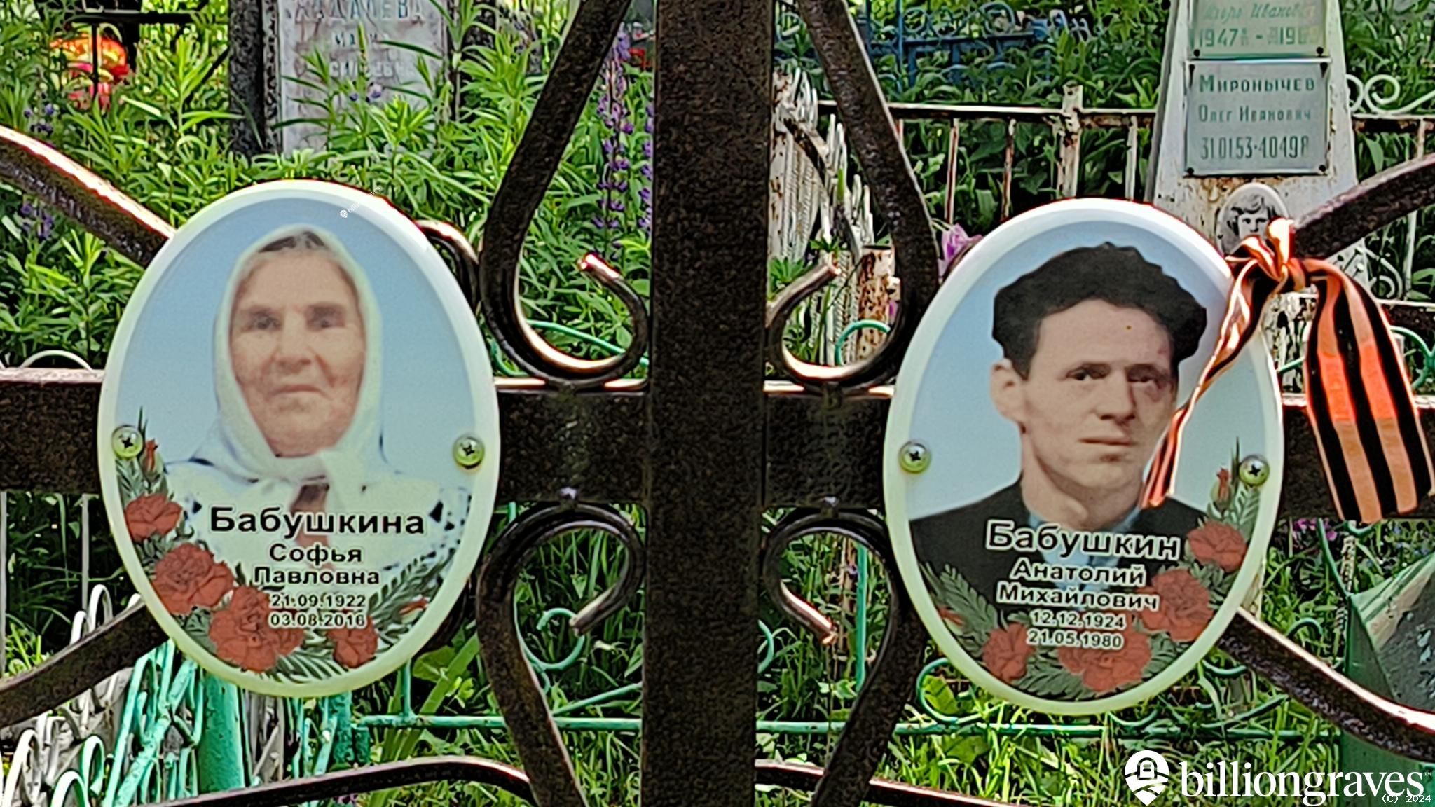 Бабушкина Софья Павловна