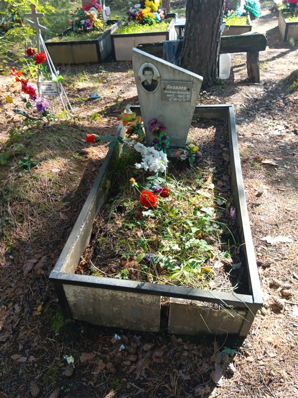 Яковлев Владимир Николаевич