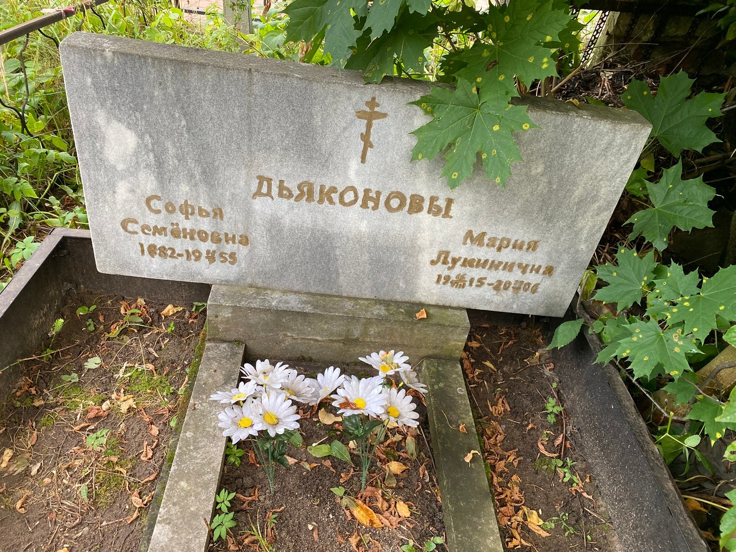 Софья Дьяконова Семеновна