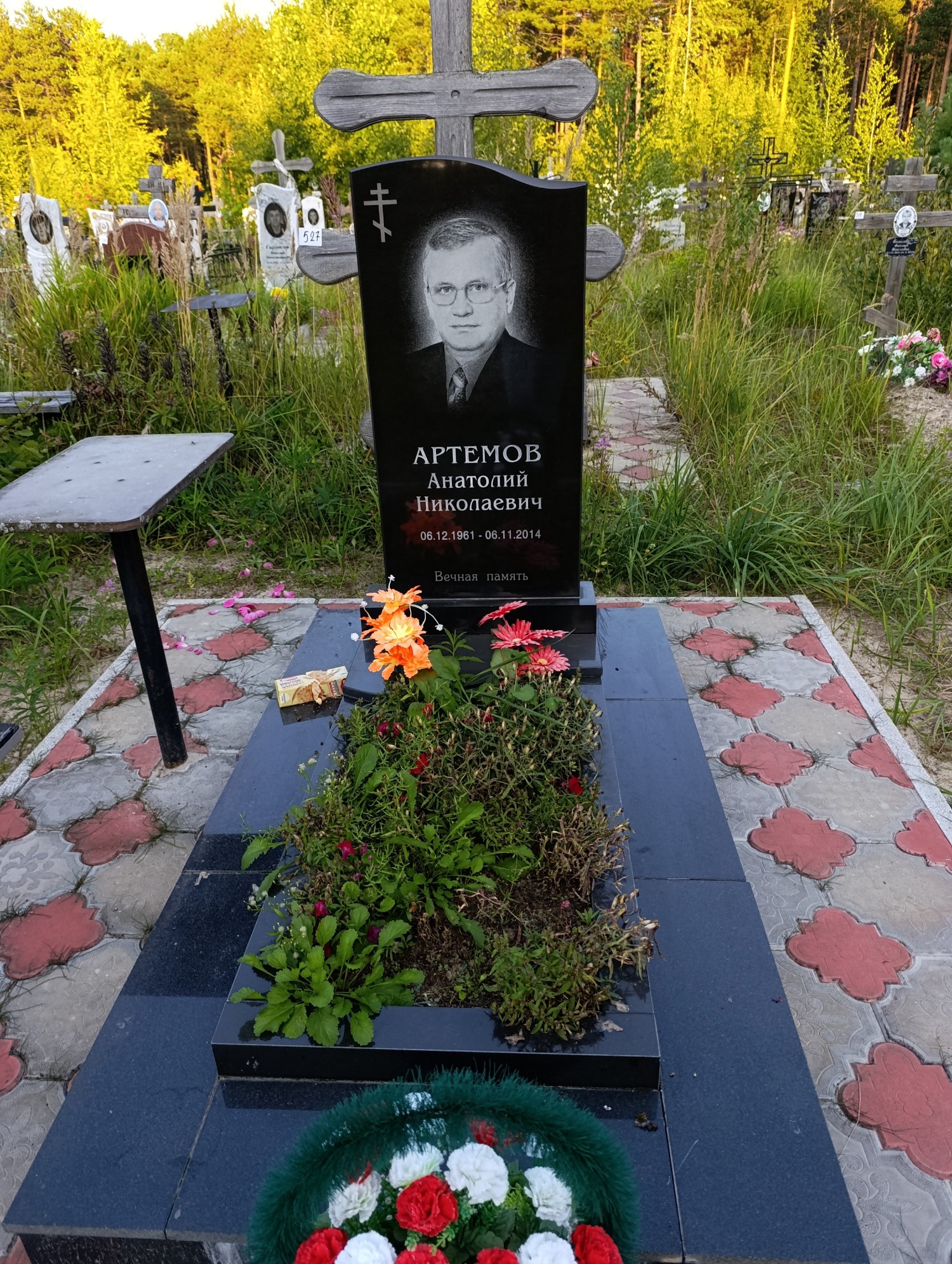 Артемов Анатолий Николаевич