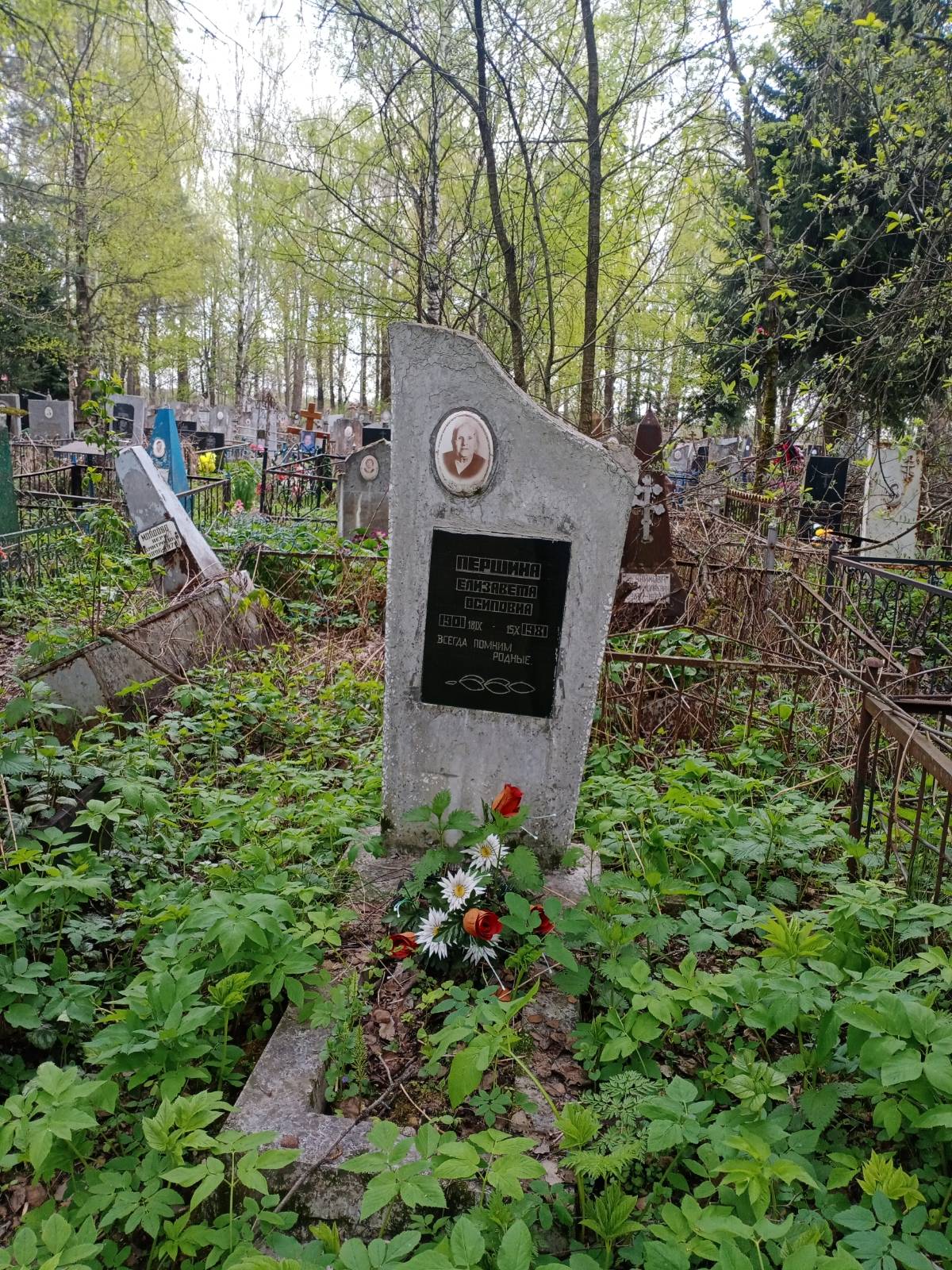 Першина Елизавета Осиповна