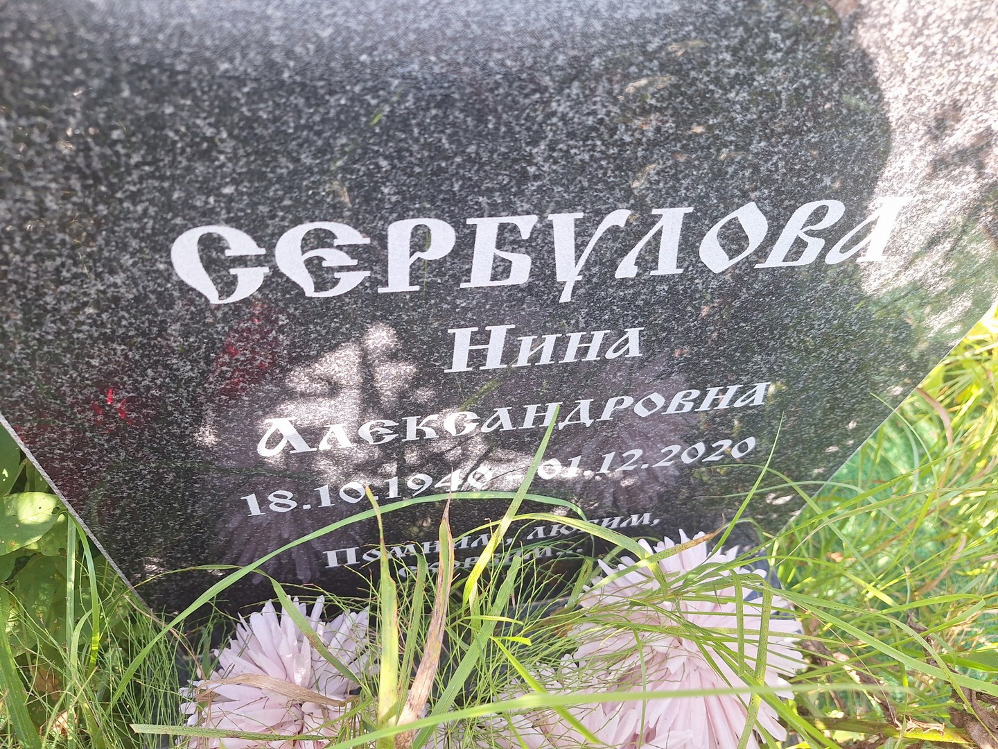 Сербулова
