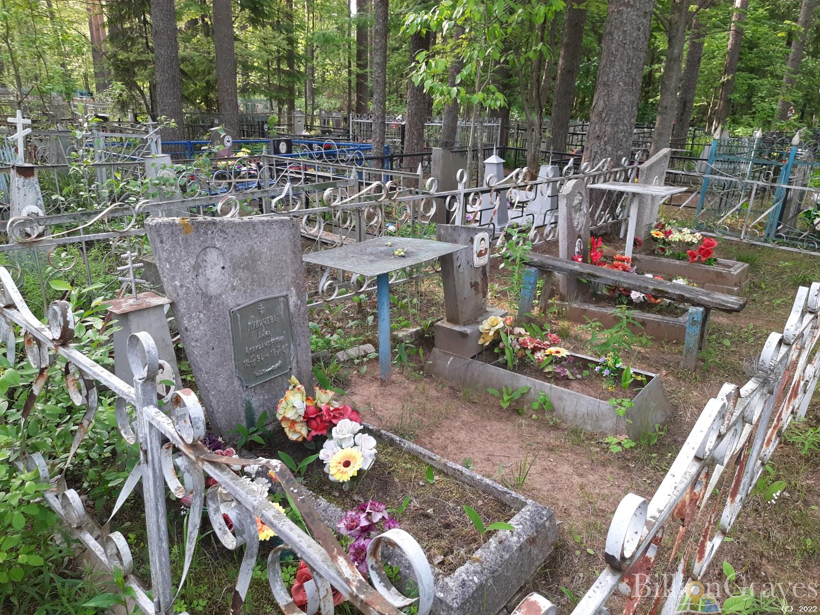 Лукичева Анна Александровна