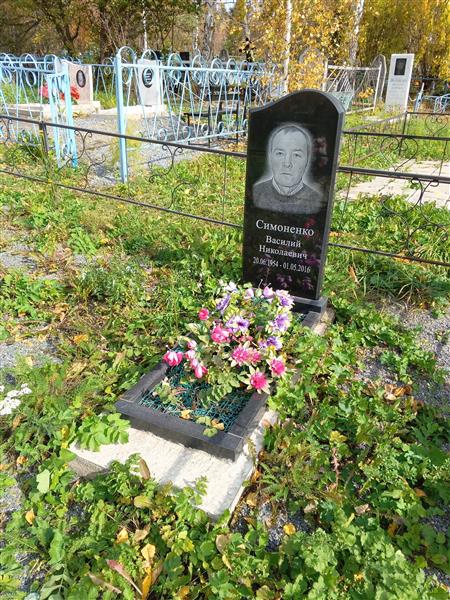 Симоненко Василий Николаевич