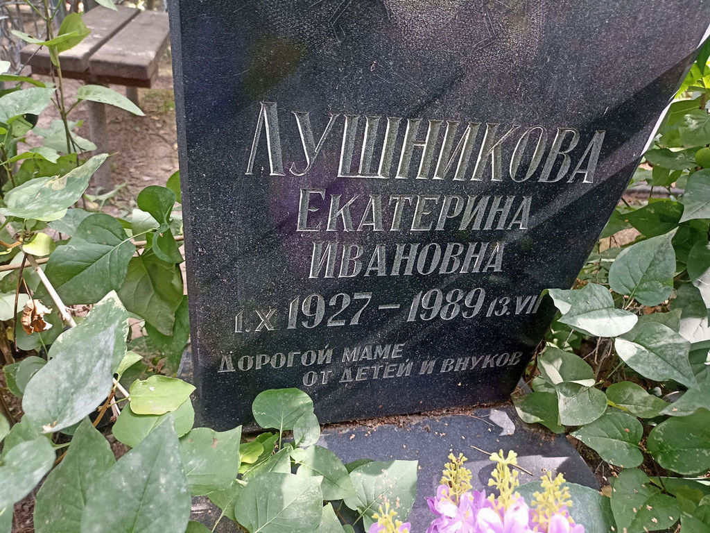 Лушникова Екатерина Ивановна