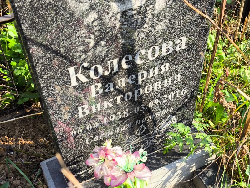 Колесова Валерия Викторовна