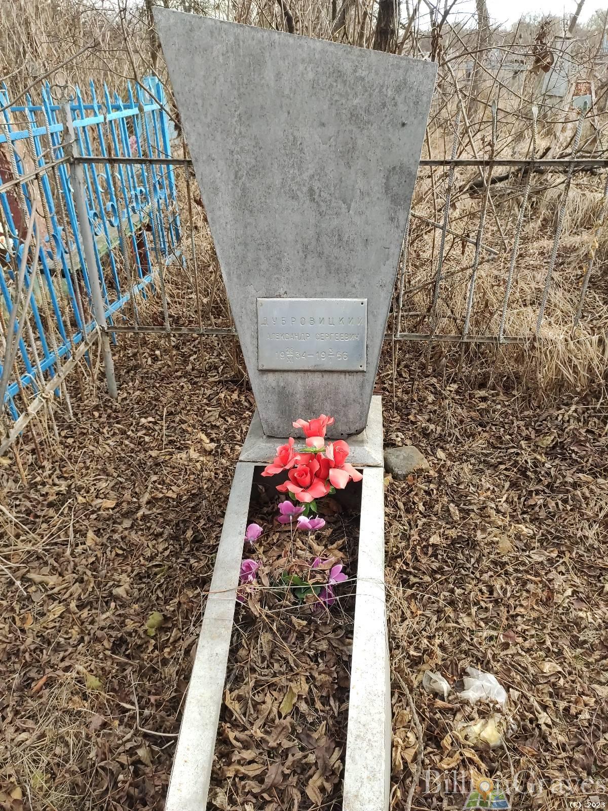 Дубровицкий Александр Сергеевич