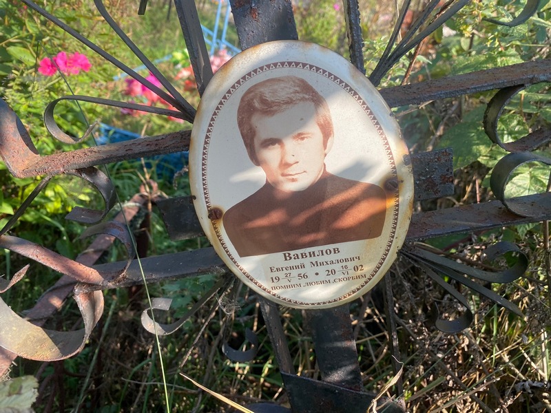Вавилов