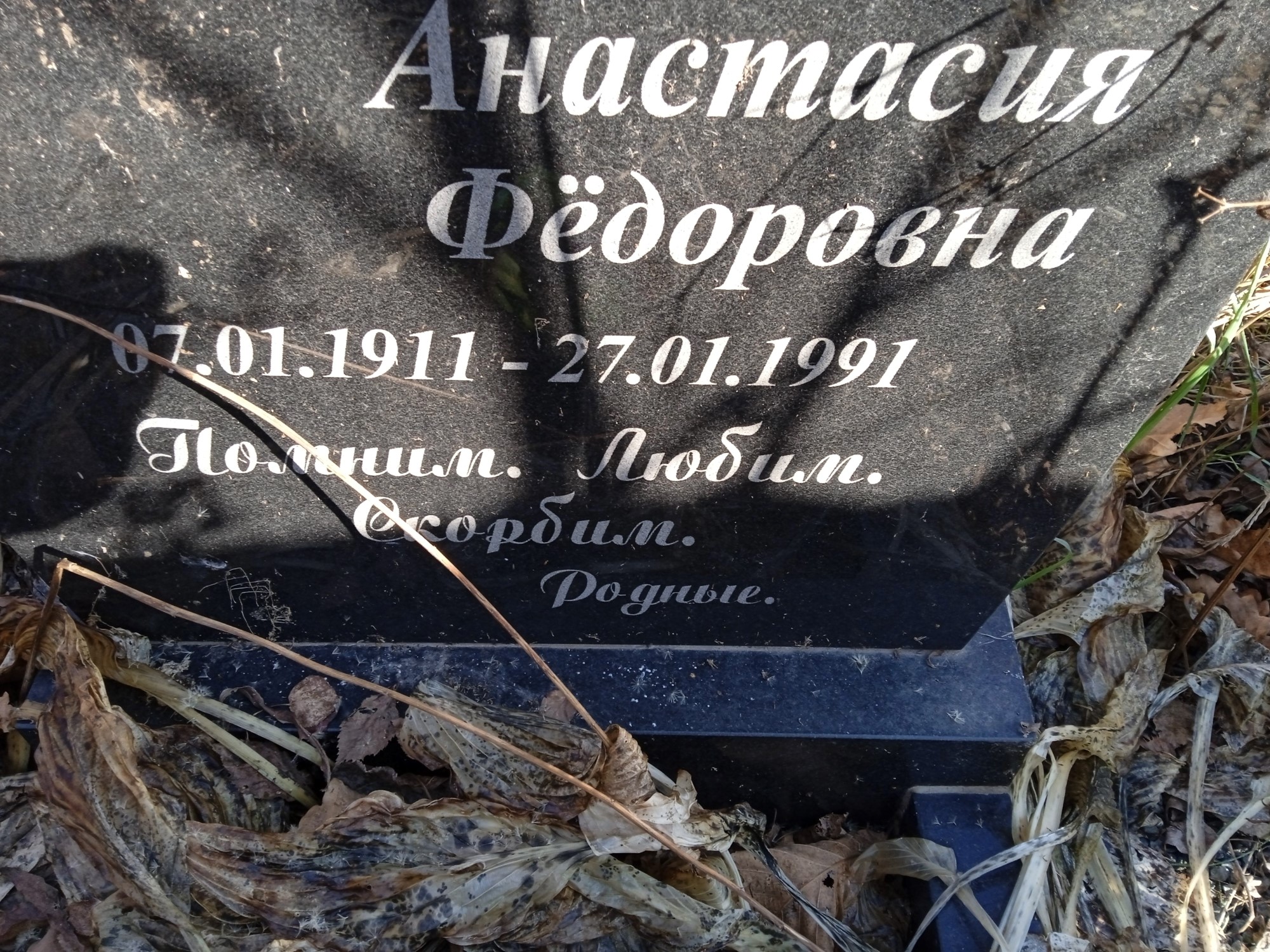 Тимофеева Анастасия Фёдоровна