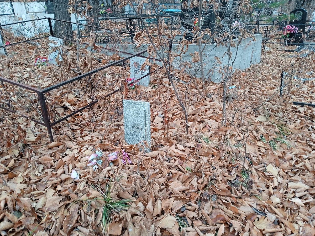 Пестряков Сергей Вячеславович