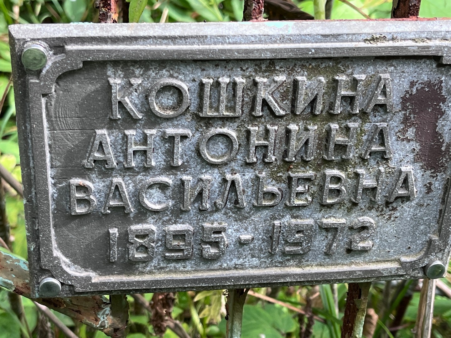 Кошкина Антонина Васильевна