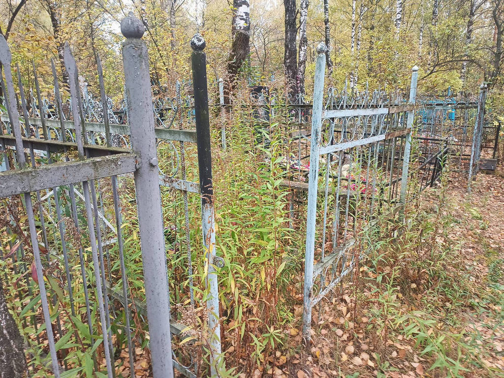 Лисина Софья Панфиловна