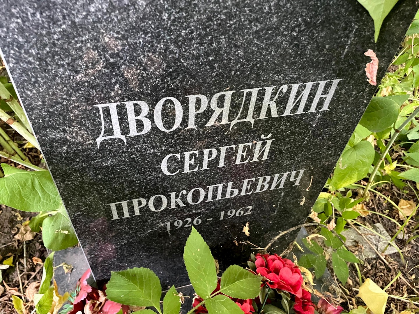 Дворядкин