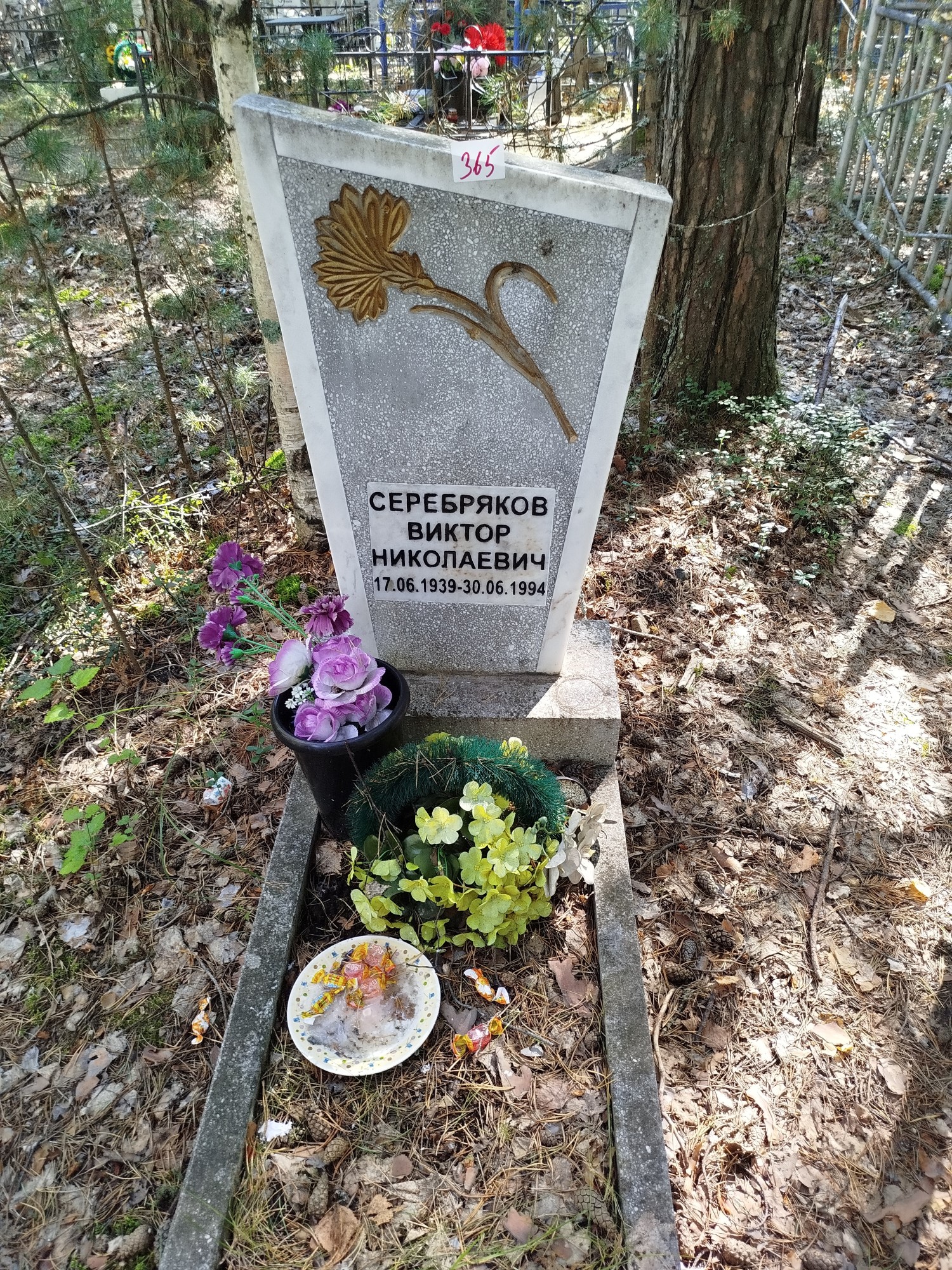 Серебряков Виктор Николаевич