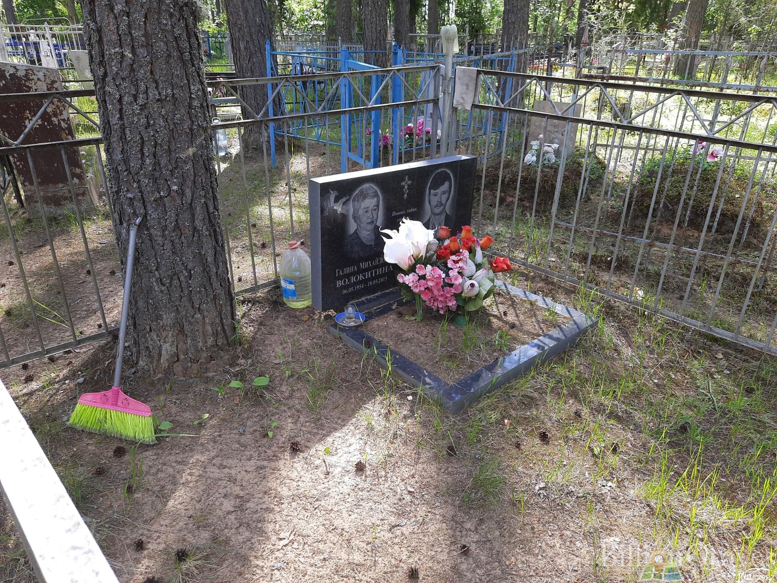 Волокитина Галина Михайловна