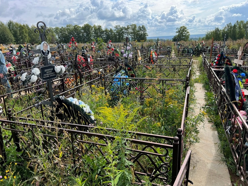 Шенрок Юрий Германович