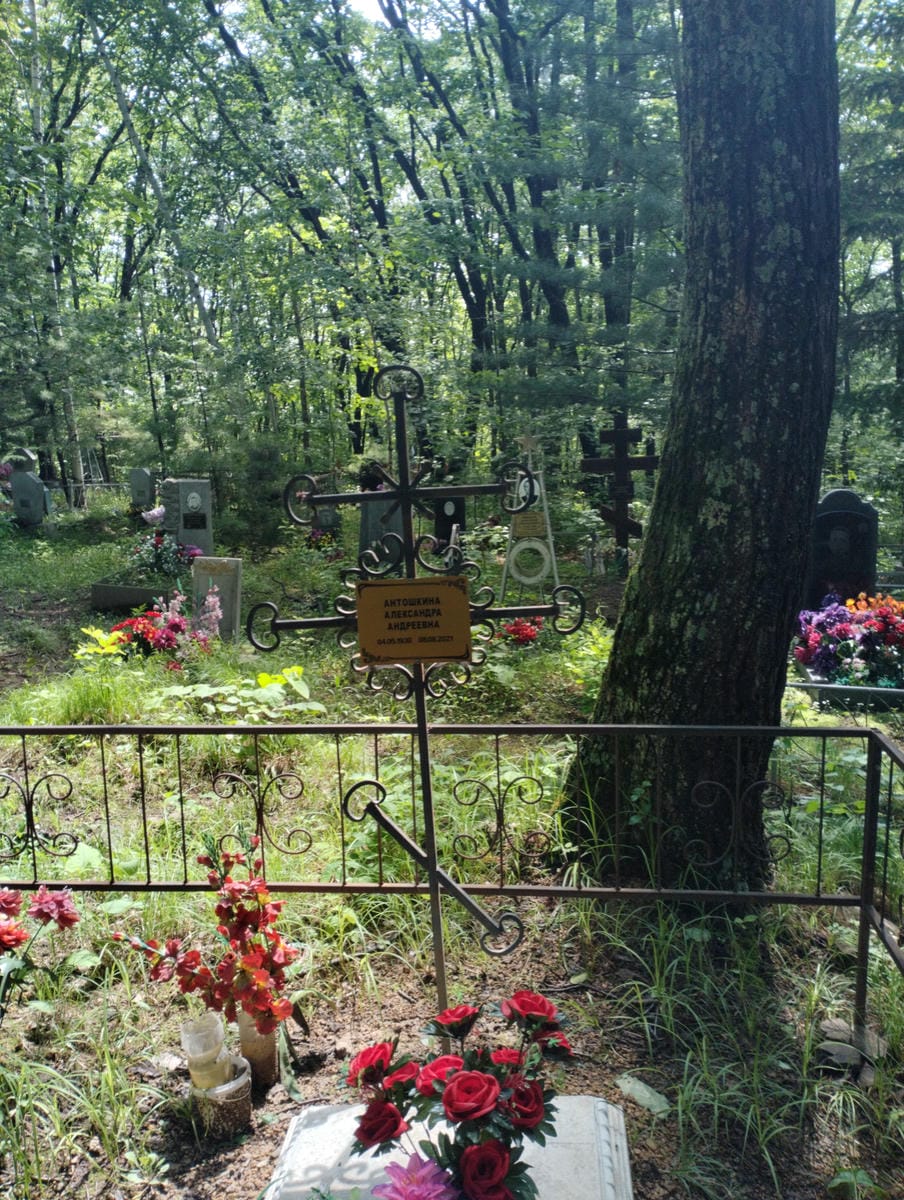 Антошкина Александра Андреевна