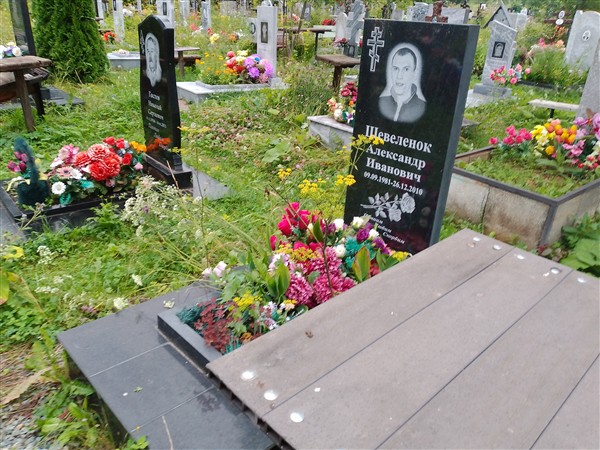 Шевеленок Александр Иванович