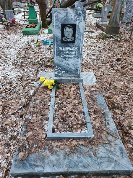 Шамриков Владимир Петрович