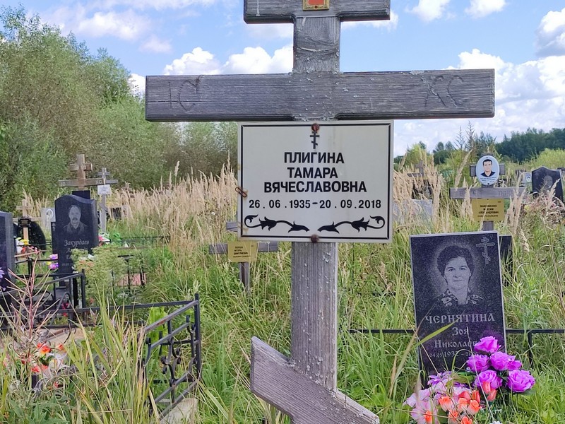 Плигина