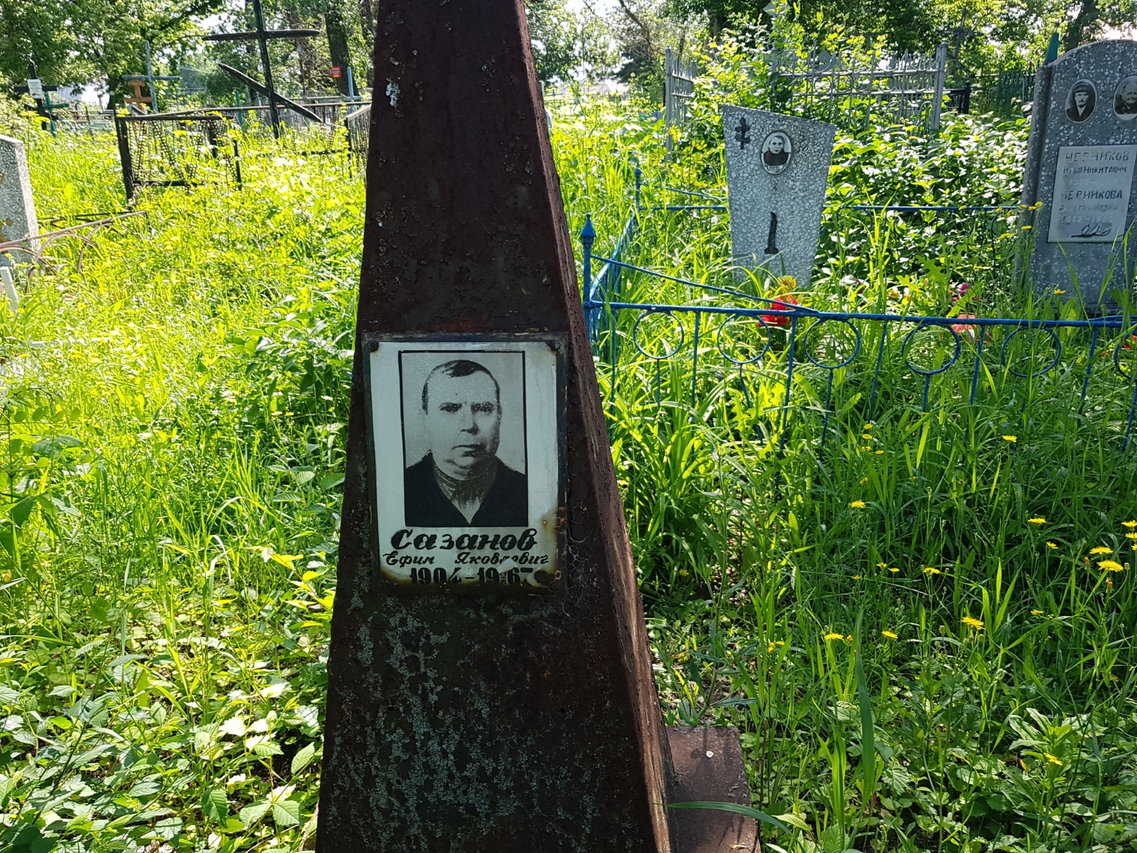 Сазанов Ефим Яковлевич