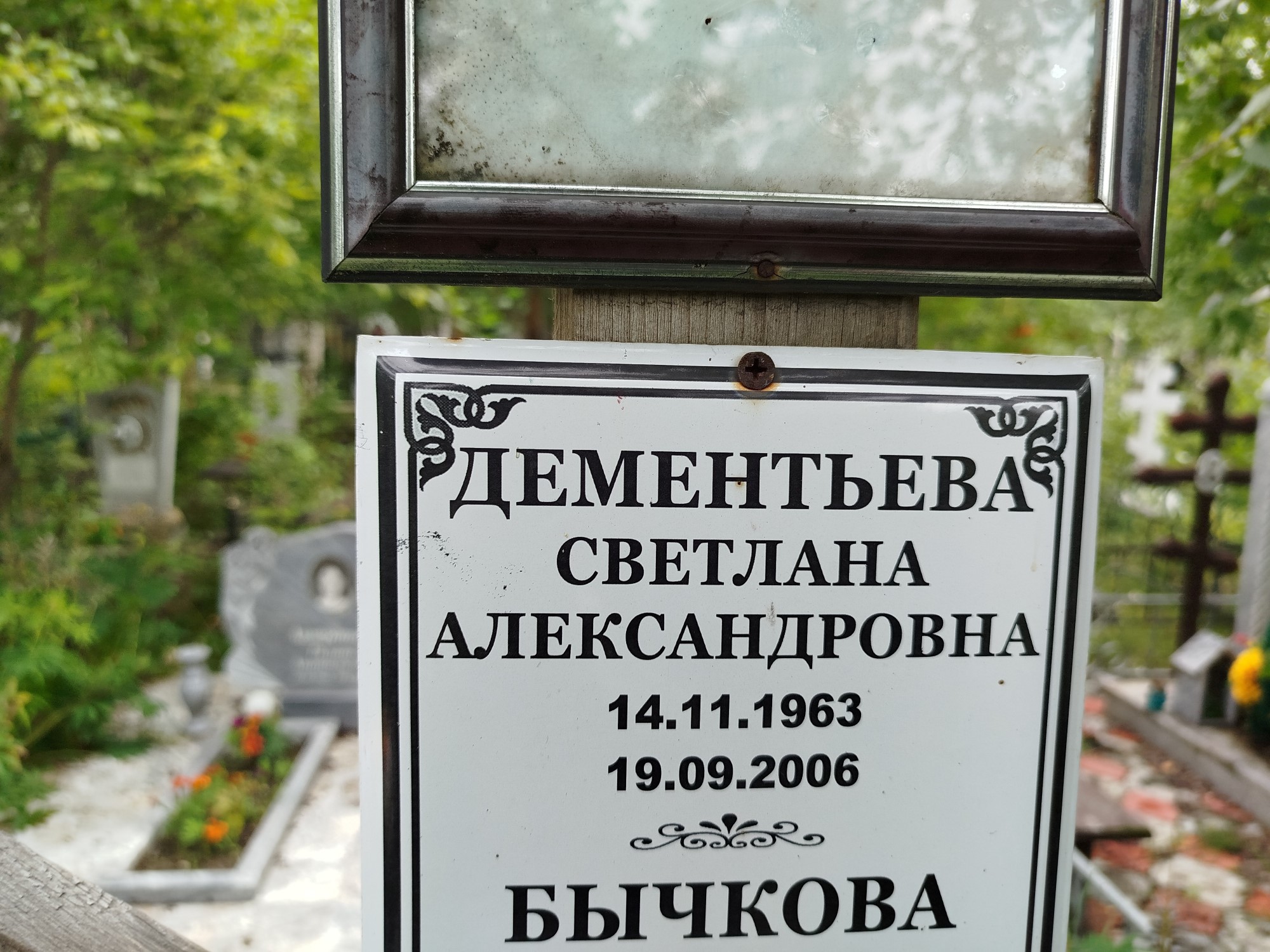 Дементьева Светлана Александровна