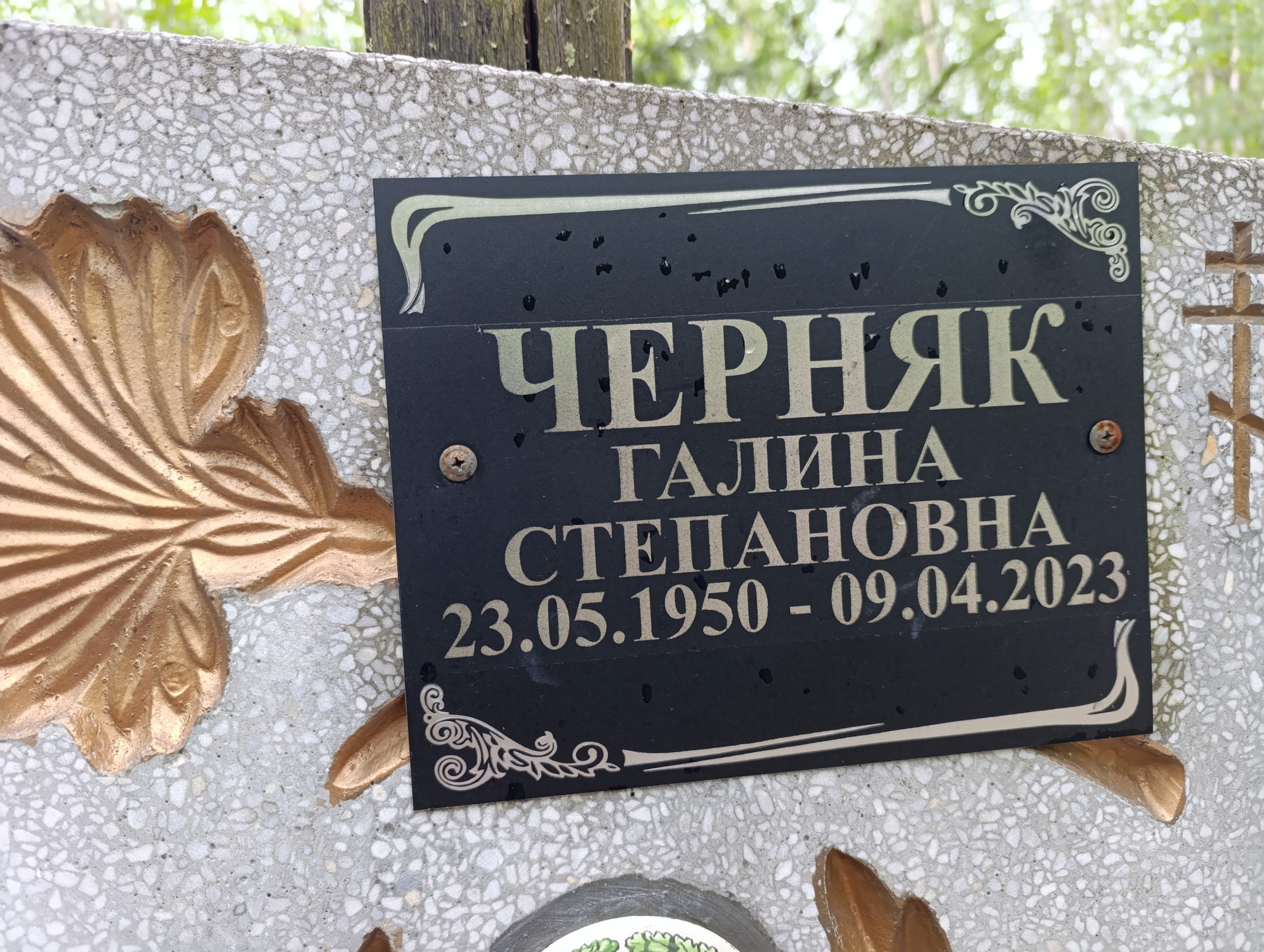 Черняк Галина Степановна