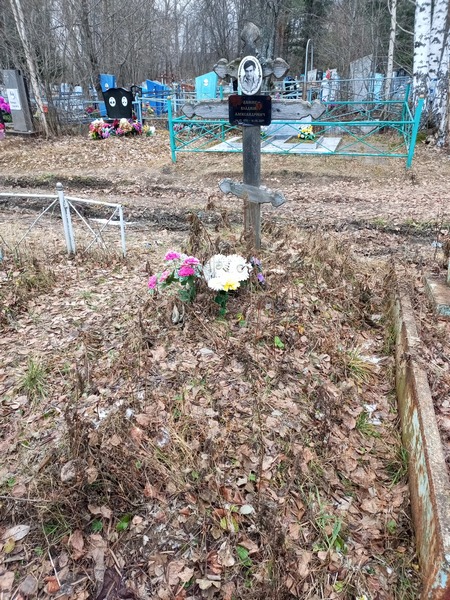 Лямин Владимир Александрович