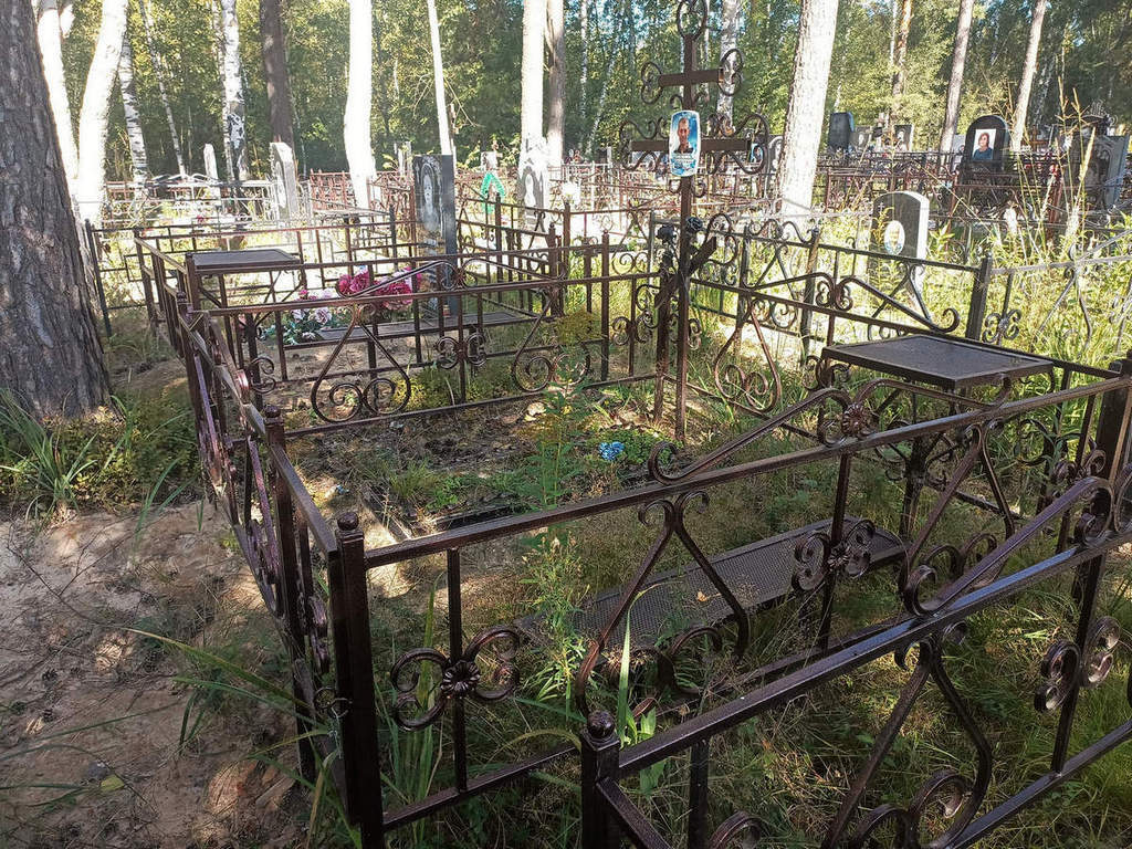 Домничев Андрей Владимирович