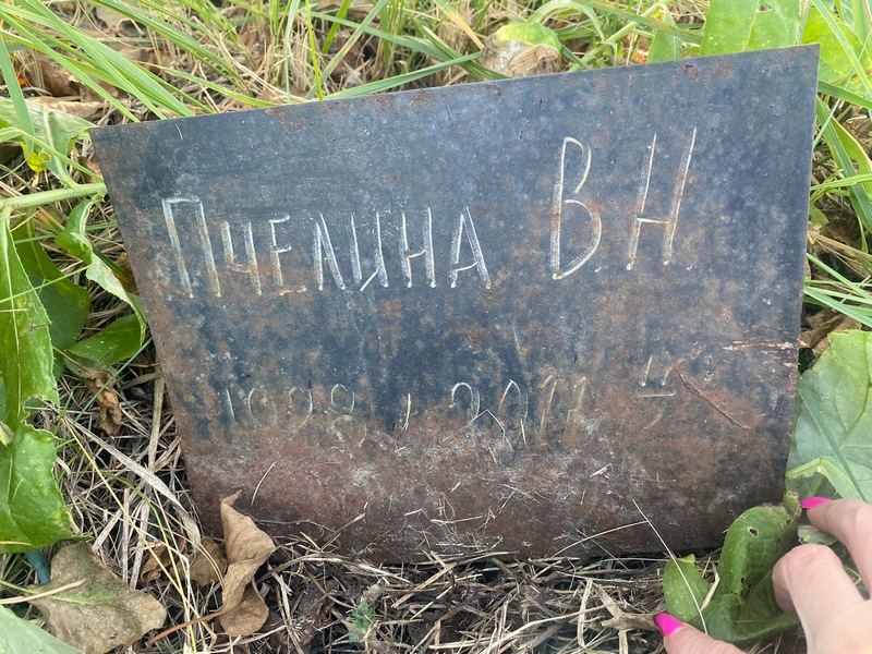 В Пчелина Н