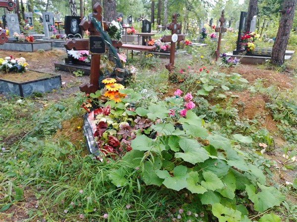 Мельников Виктор Иванович