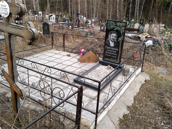 Григорьев Анатолий Дмитриевич