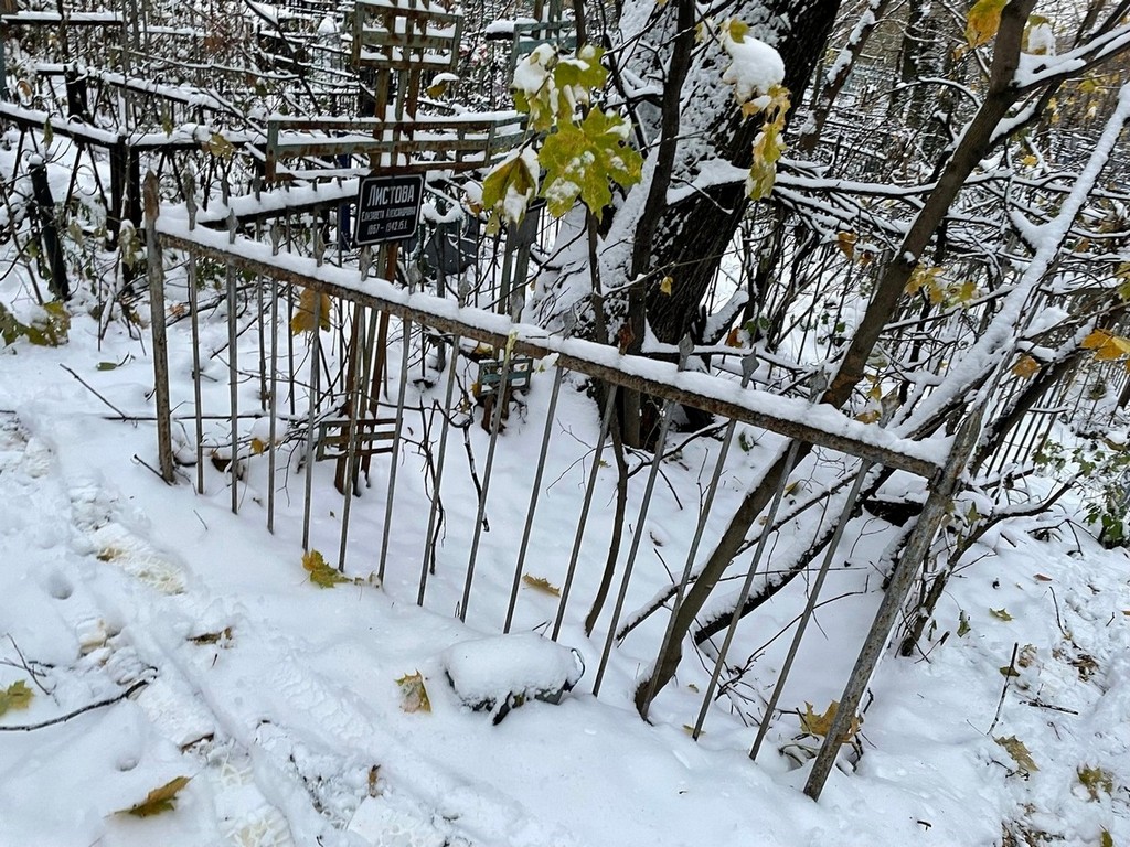 Листова Елизавета Александровна