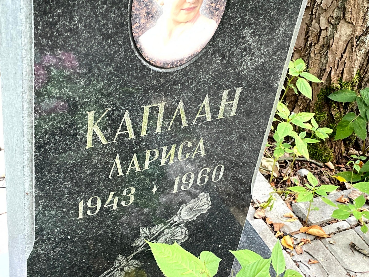 Каплан Каплан
