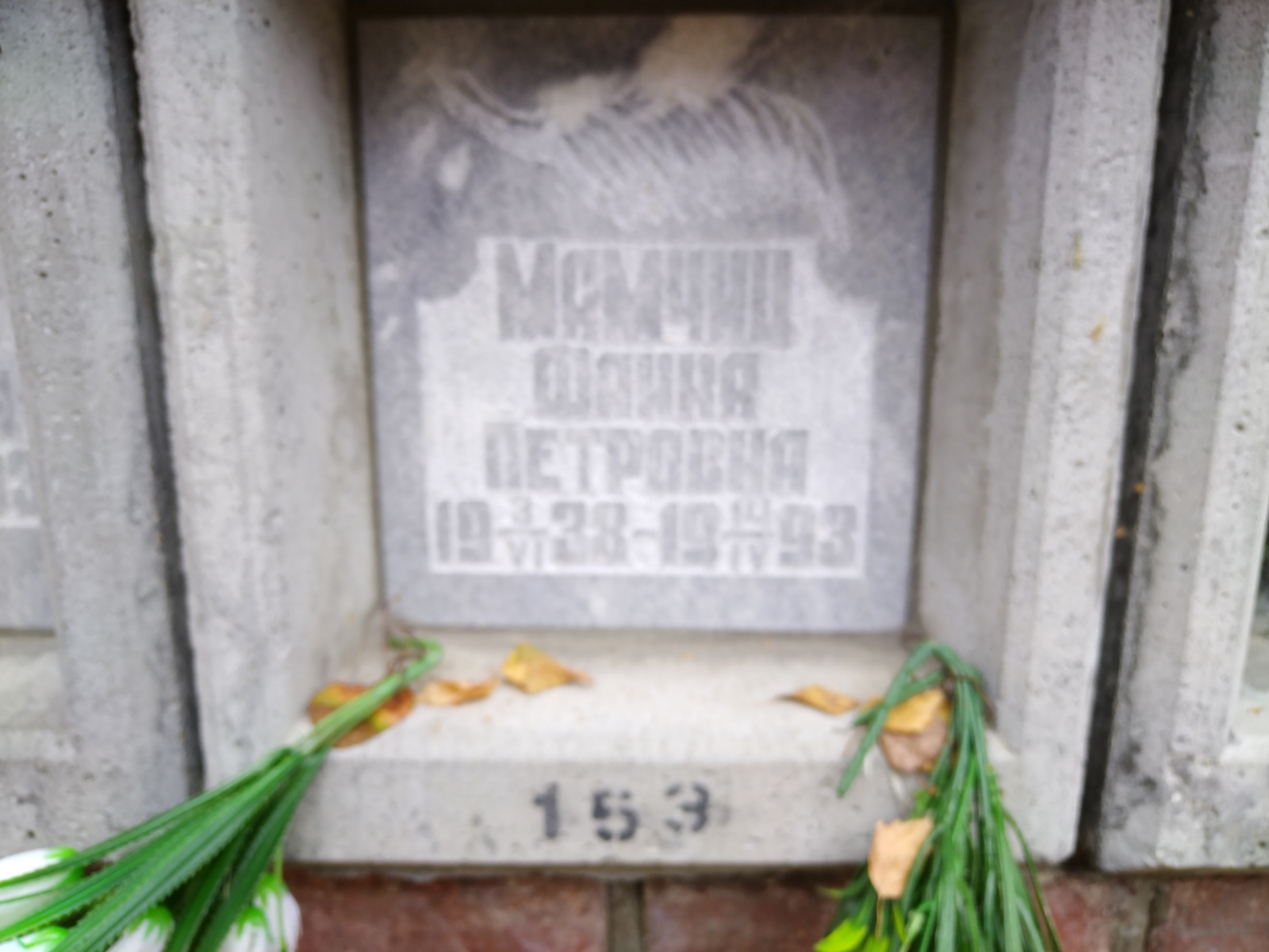 Мамчиц Фаина Петровна