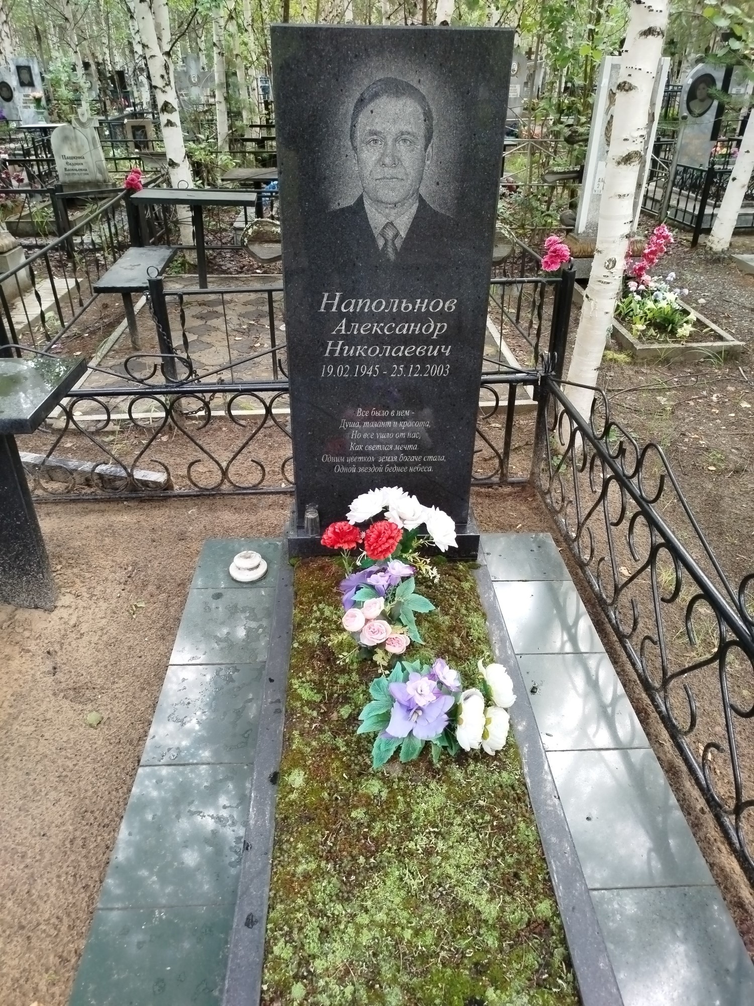 Напольнов Александр Николаевич