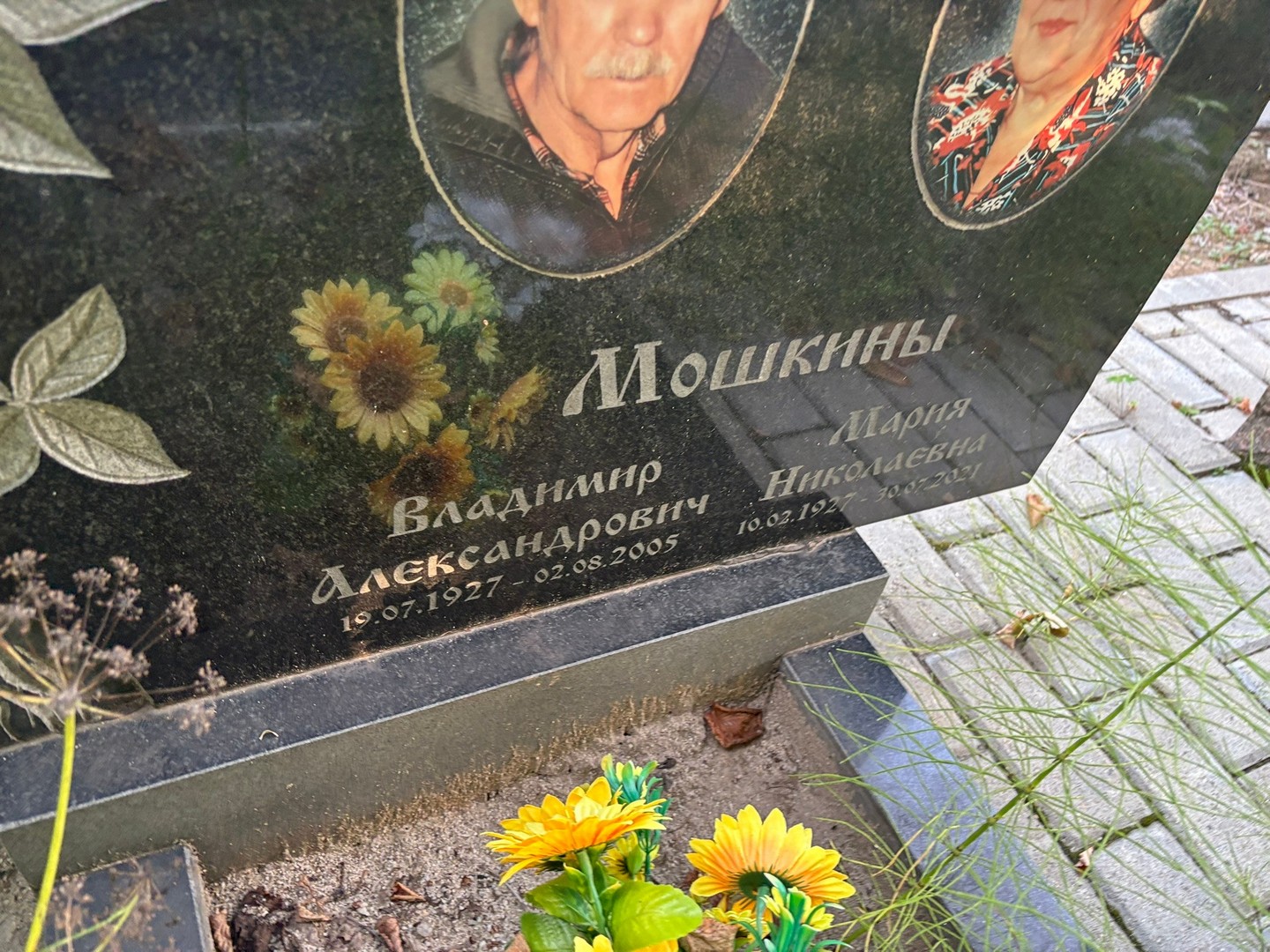 Мошкин