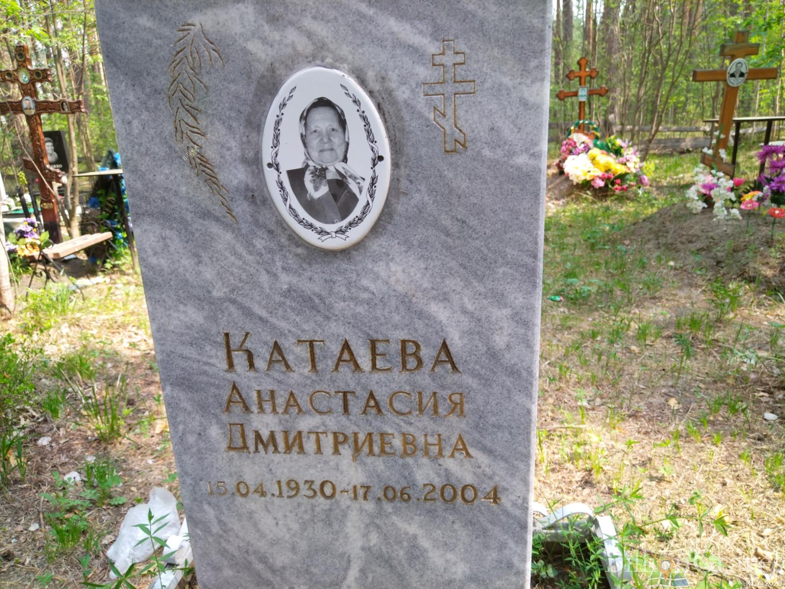 Катаева Анастасия Дмитриевна