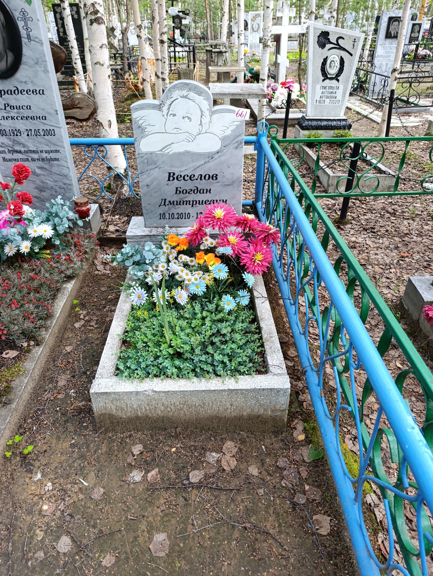 Веселов Богдан Дмитриевич